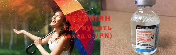 твердый Богданович