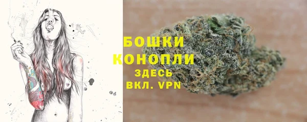 PSILOCYBIN Богородск