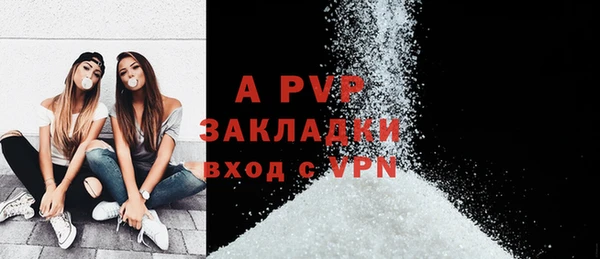 твердый Богданович