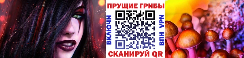 Купить  Каргат  Галлюциногенные грибы мухоморы 